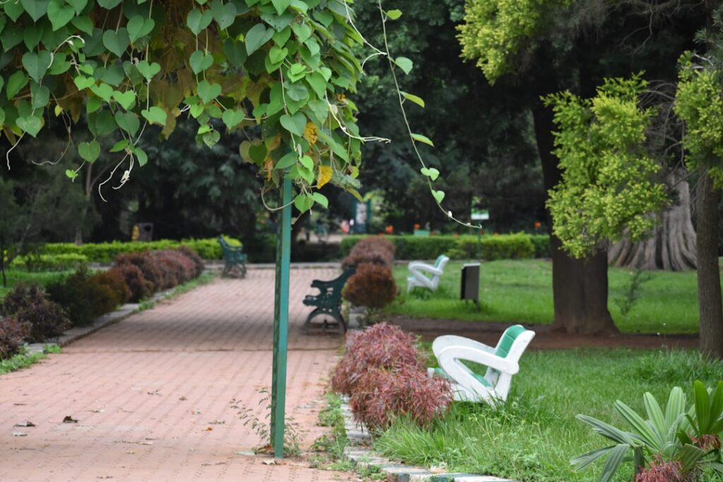 Fliserens: En Guide til Renere og Mere Imponerende Udendørsområder