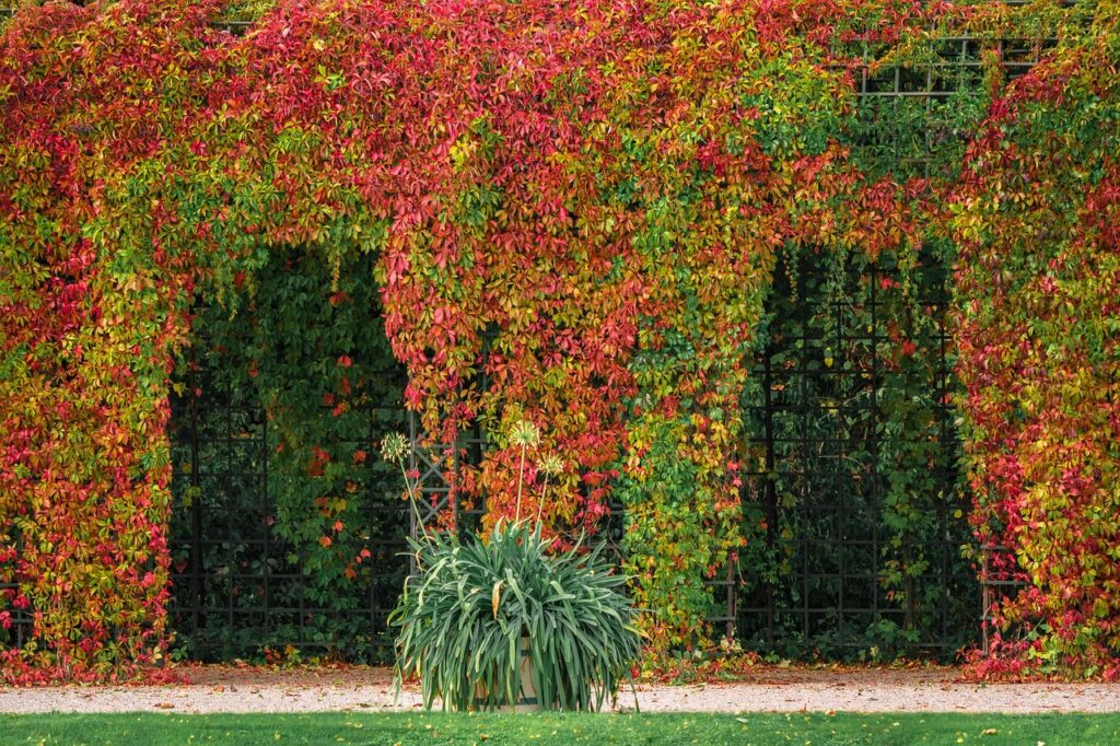 Pergola med tag naturligt